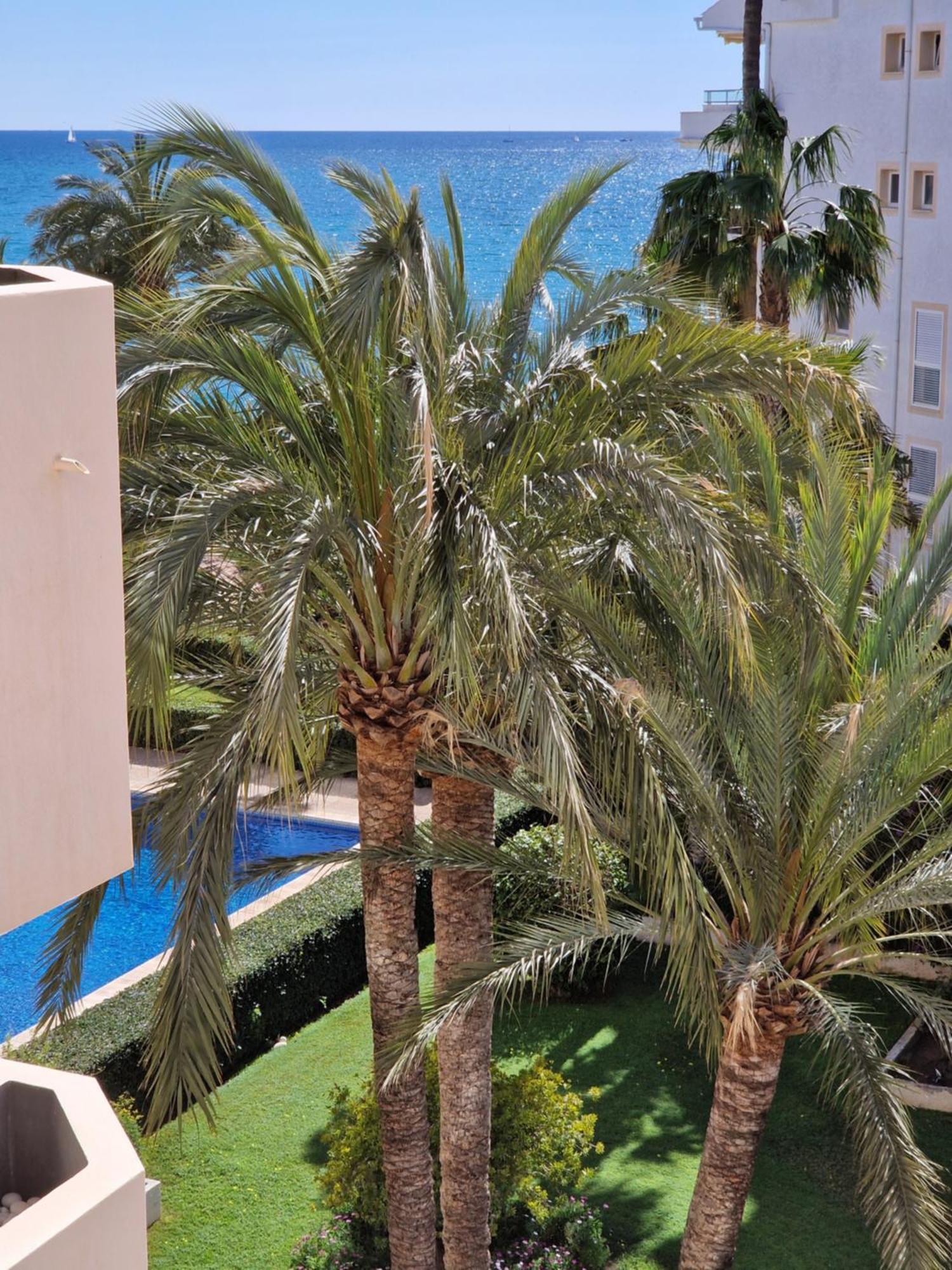 Azul - Estudio Con Vistas Al Mar, Piscina Y Acceso Directo A La Playa By Redi Altea Exterior photo